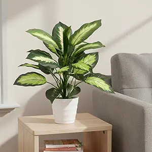 Artificial Dieffenbachia Plant Decor