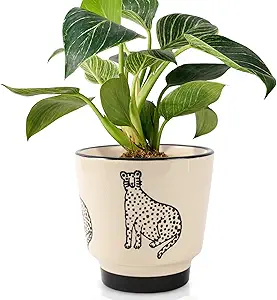 Cute Ceramic Plant Pot