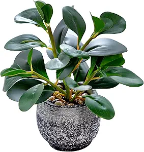 Ficus Faux Plant Decor