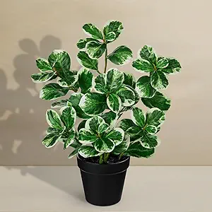 Rubber Ficus Artificial Plant