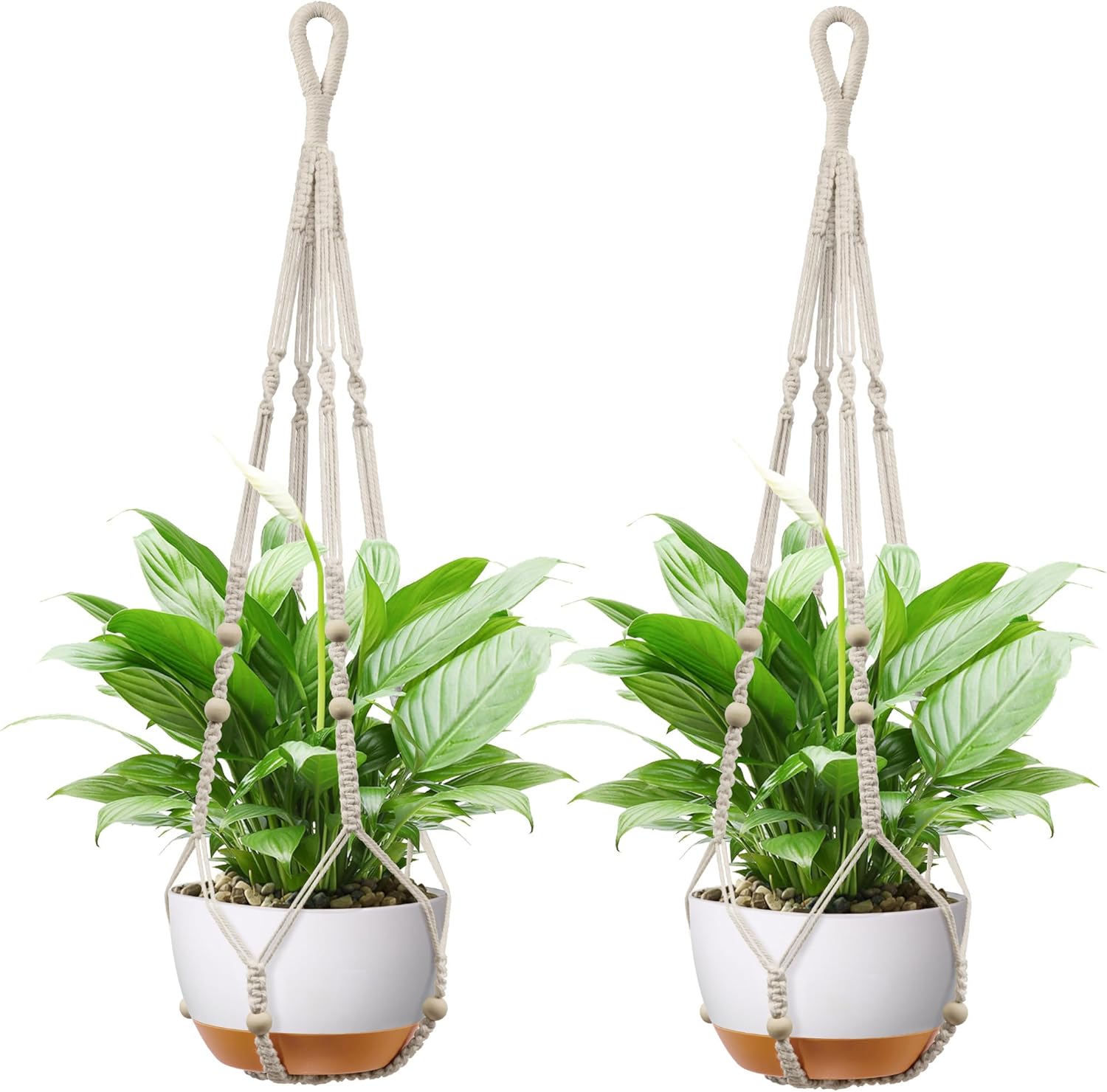 Macrame Plant Hanger