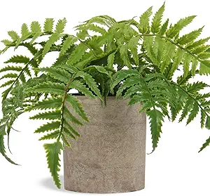 Small Faux Fern Decor