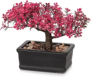 Pink Bonsai Decor Plant