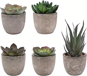 Set of 5 Artificial Succulent Plants in Pots