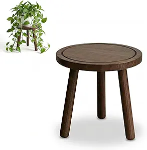 Wooden Indoor Plant Stand
