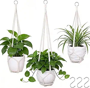 Macrame Hanging Plant Set