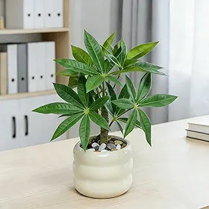Artificial Money Tree Plant Office Desk Decor for Women