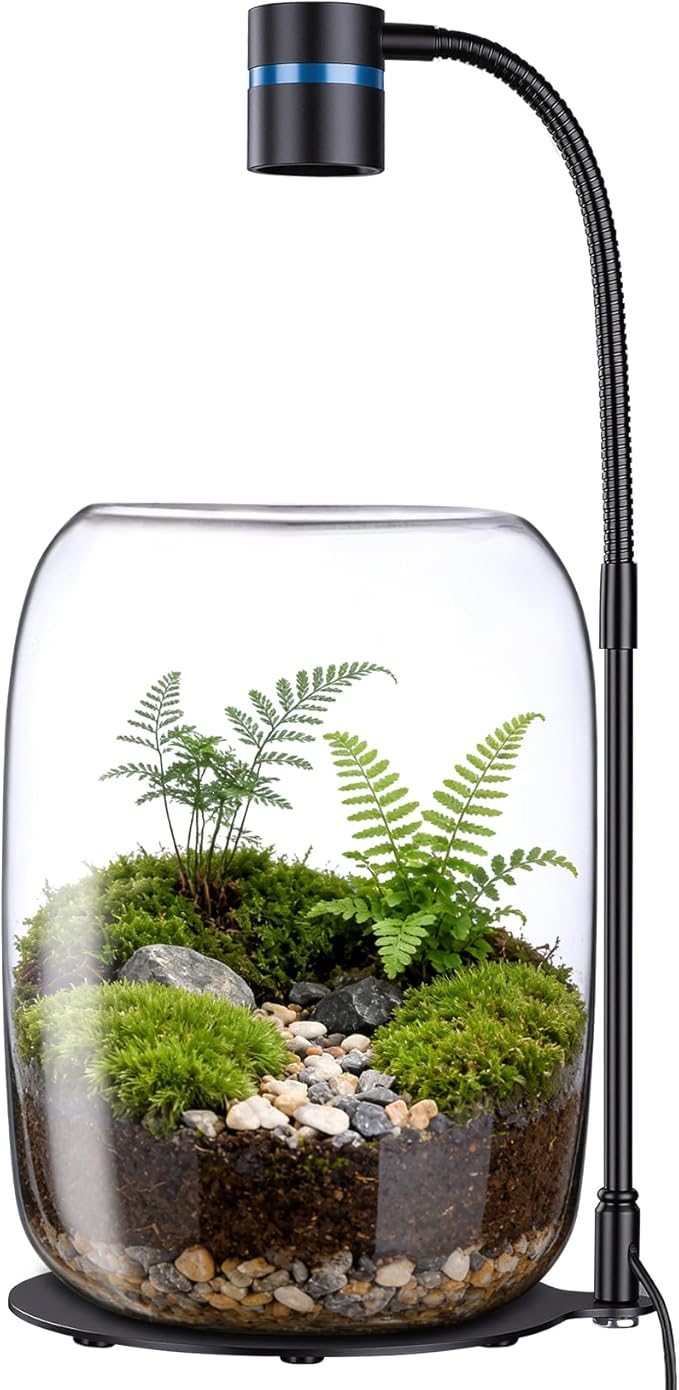 LED Glass Plant Terrarium