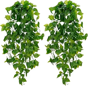 Artificial Hanging Pothos Set