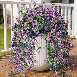 Hanging Daisy Eucalyptus Decor