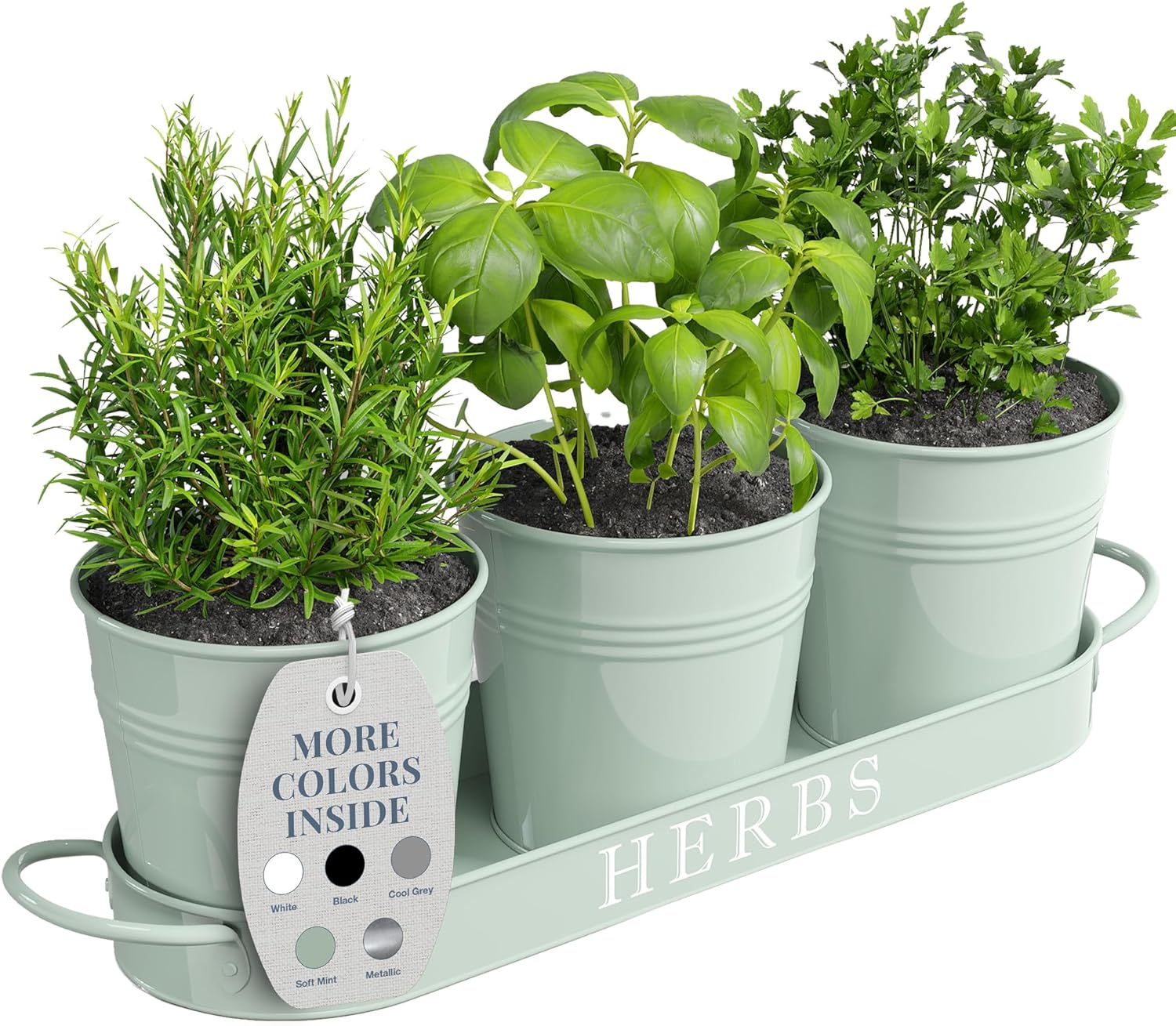 Barnyard Designs Indoor Herb