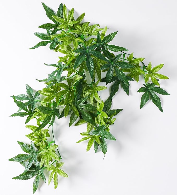 Reptile Terrarium Hanging Plant