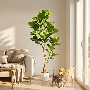 Wood Ladder Plant Stand