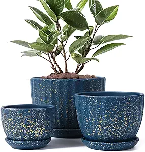 Blue Ceramic Plant Pot Set