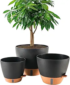 8/10/12 Inch Self Watering Pots for Indoor/Outdoor Plants