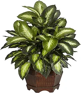 Artificial Dieffenbachia Hexagon Plant
