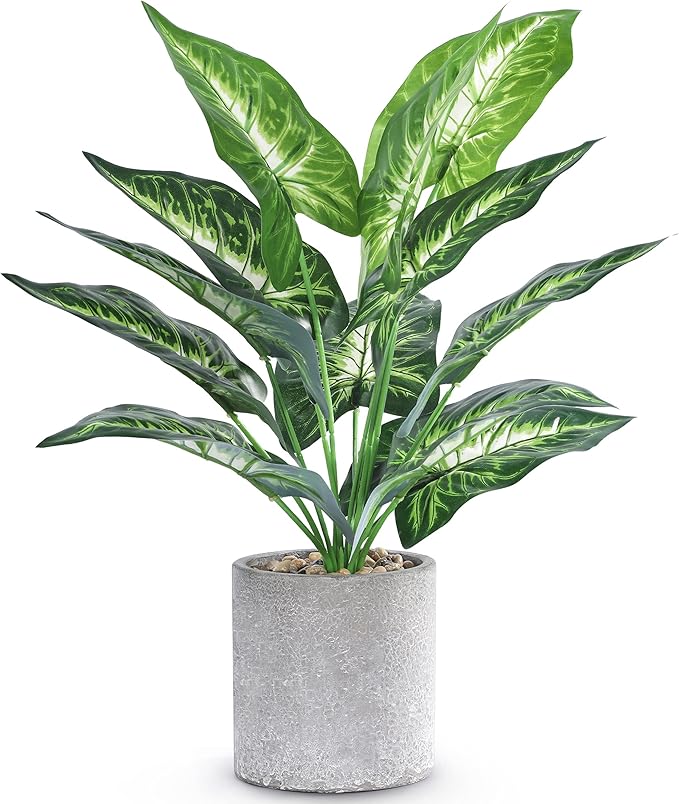 Small Tropical Desk Plant