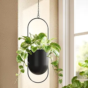 Black Hanging Plant Baskets