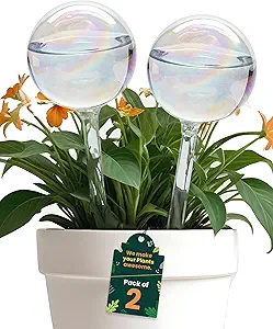 Iridescent Self Watering Globes
