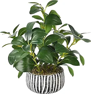 Artificial Succulent Fig Leaf Decor