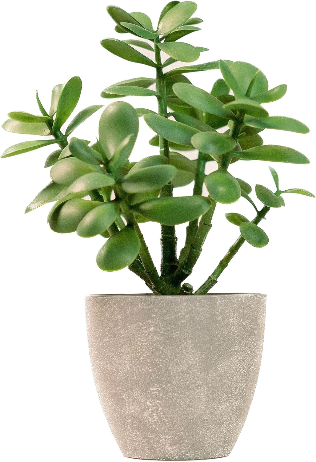 Artificial Jade Plant Decor
