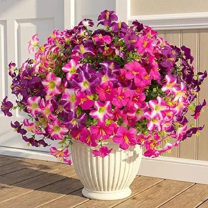 Artificial Petunia Flower Set