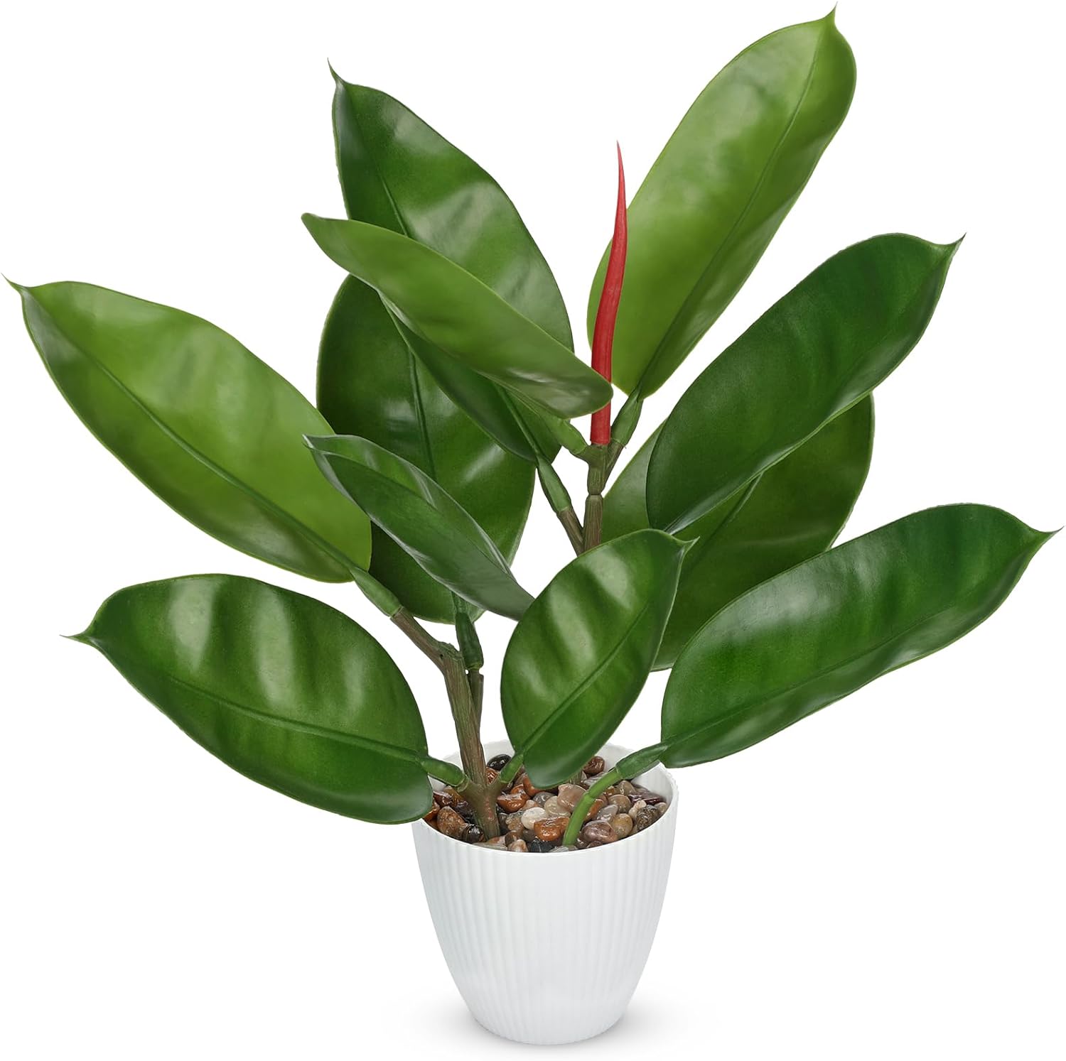 Fake Plant Artificial Rubber Tree in White Pot