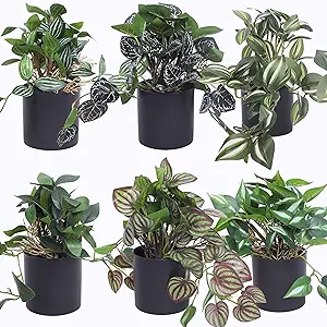 6 Pack Artificial Potted Plants