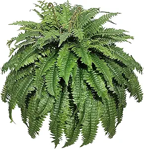 Large Faux Fern Plant