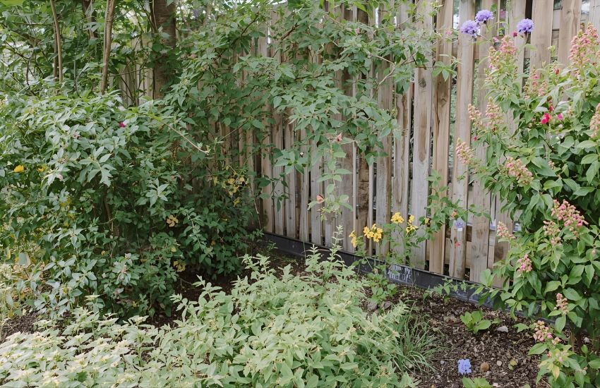 Create a Mini Backyard Garden With DIY Pots and Sprouting Seeds