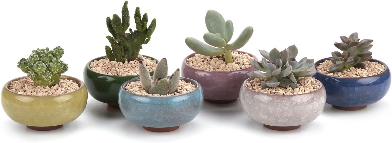 Ceramic Succulent Pot Set