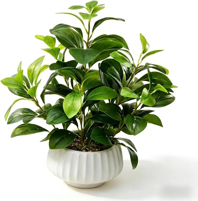 Artificial Peperomia Plant 16.5” Tall
