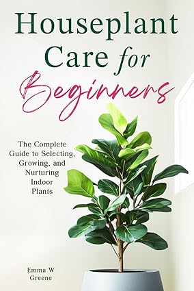 Houseplant Care for Beginners