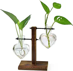 Plant Terrarium Wooden Stand