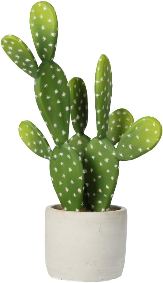 DILATATA 13' Small Fake Cactus