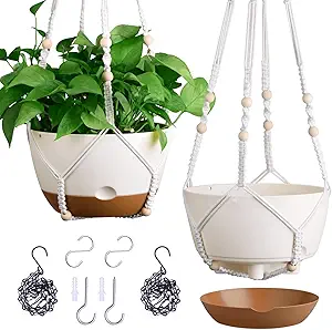 Set of 2-10 Inch Hanging Planters for Indoor Plants with Self-Watering Includes Hanging Pots for Plants