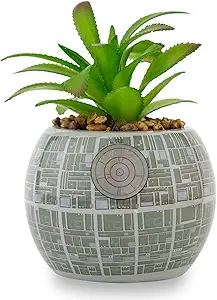 Death Star Succulent Planter