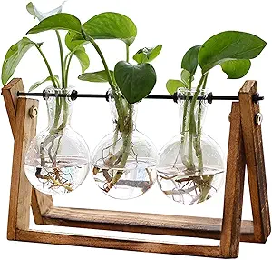 Glass Terrarium Plant Stand