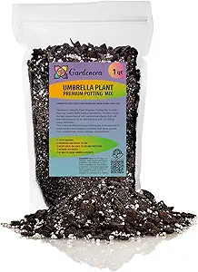 Gardenera Umbrella Plant Premium Potting Mix