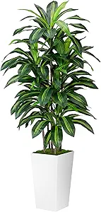 Artificial Dracaena Plant Indoor 5FT