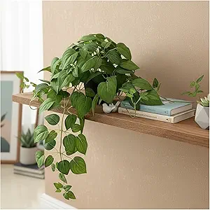 Artificial Pothos Ivy Set
