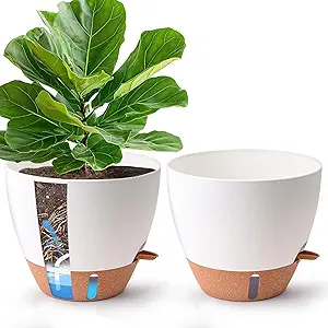 White Self Watering Pots