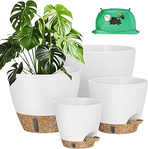 Self Watering Plant Pots