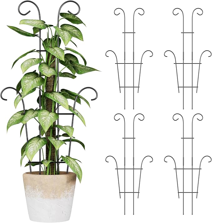 Larger 23.6in Taller Plant Trellis for Climbing Plants Indoor