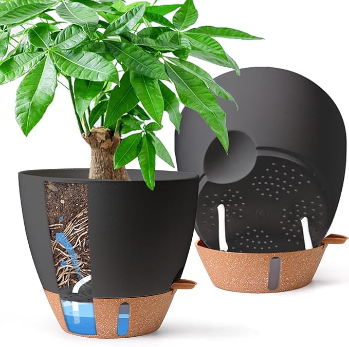 Self Watering Plant Pots
