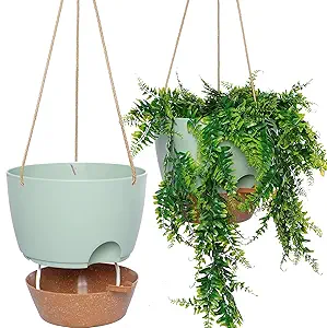 10 Inch Self Watering Hanging Pots