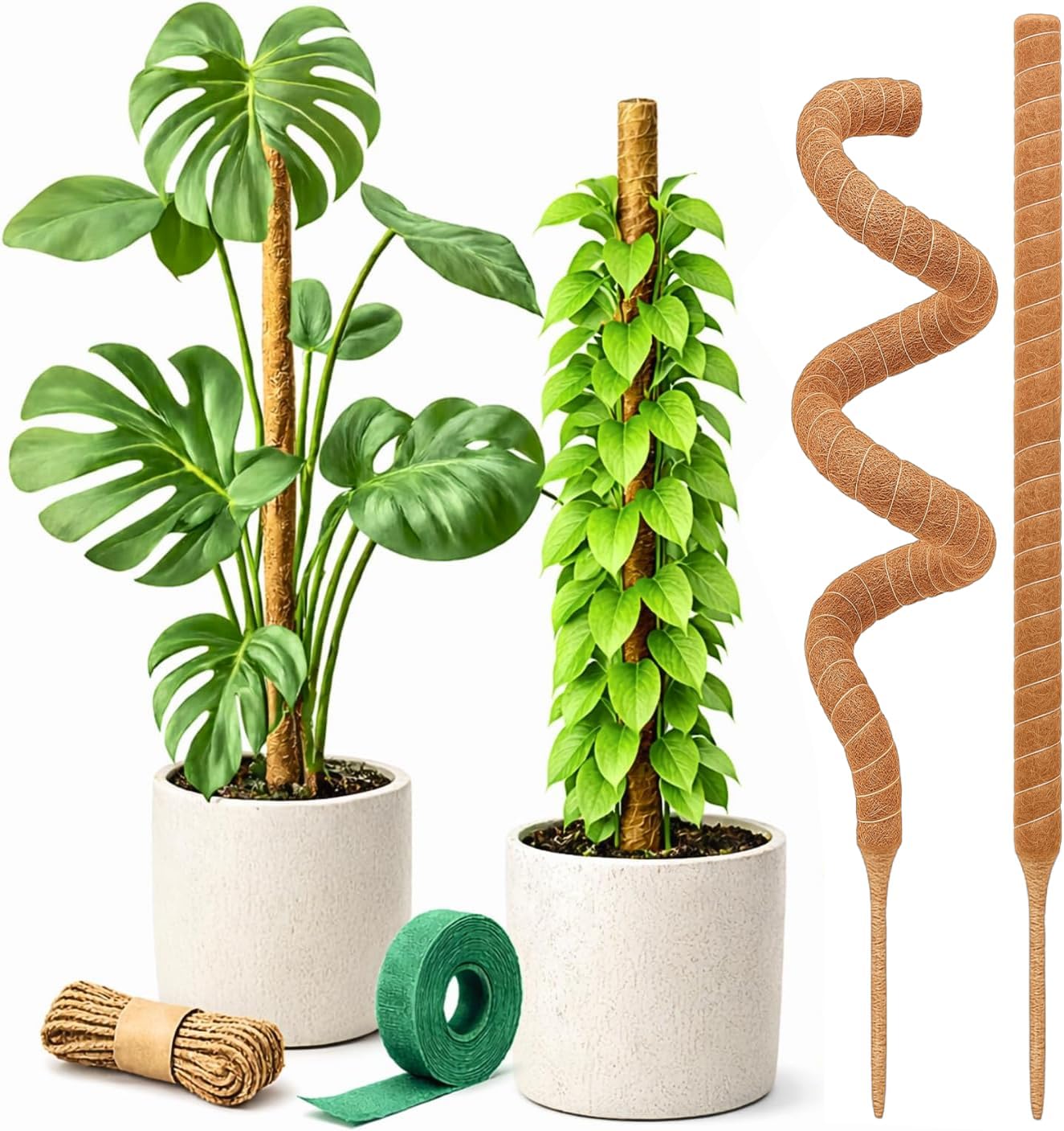 Moss Pole Monstera Plant Support