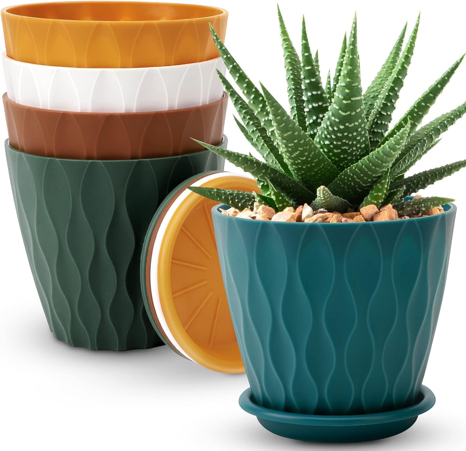 6 inch Plant Pots