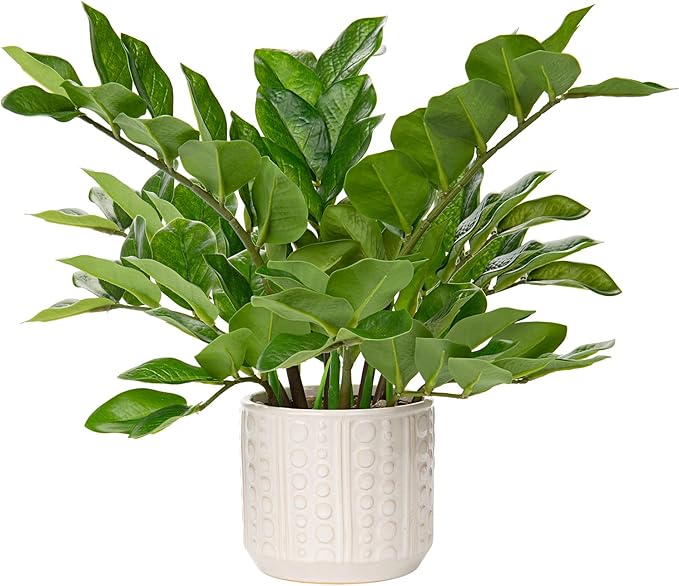Briful Faux Plants Indoor 17" Artificial ZZ Plants in Ceramic Pot