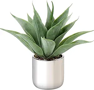 Artificial Agave Succulent Decor